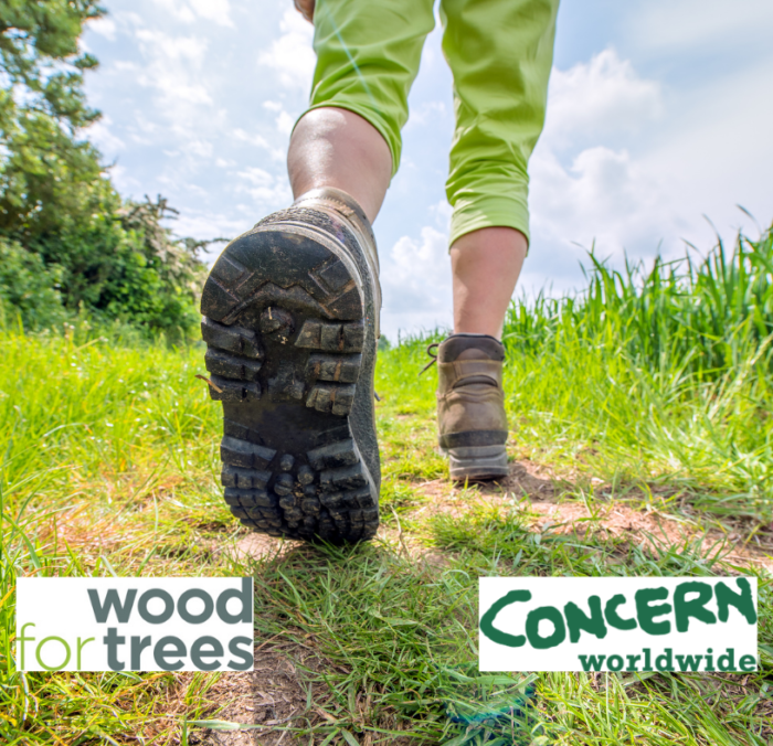 Wood for Trees sets foot across Ireland in aid of Concern Worldwide