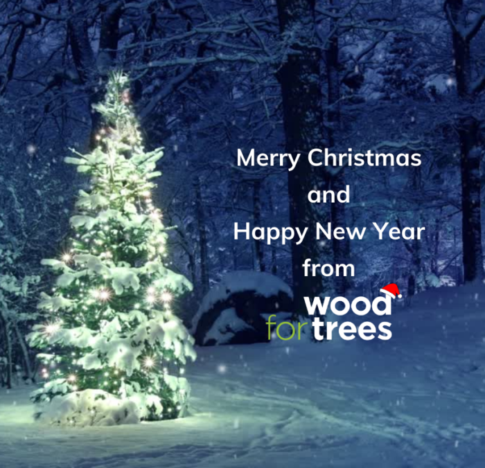 2022 highlights from Wood for Trees
