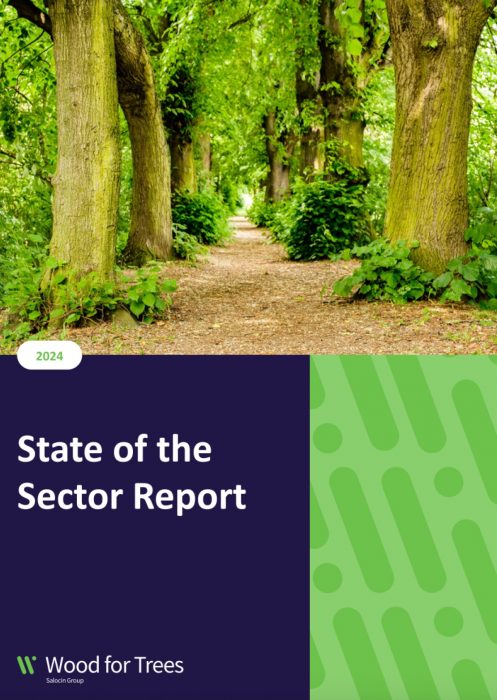 Stage of the Sector Annual Report 2024