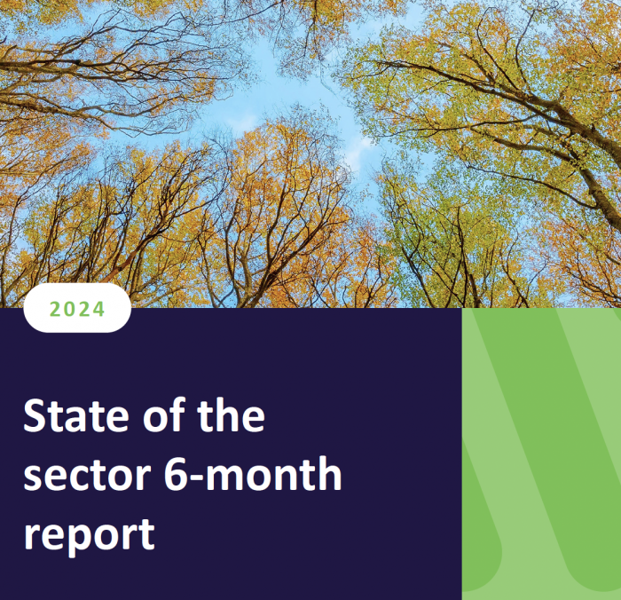 UK charity performance in the first half of 2024