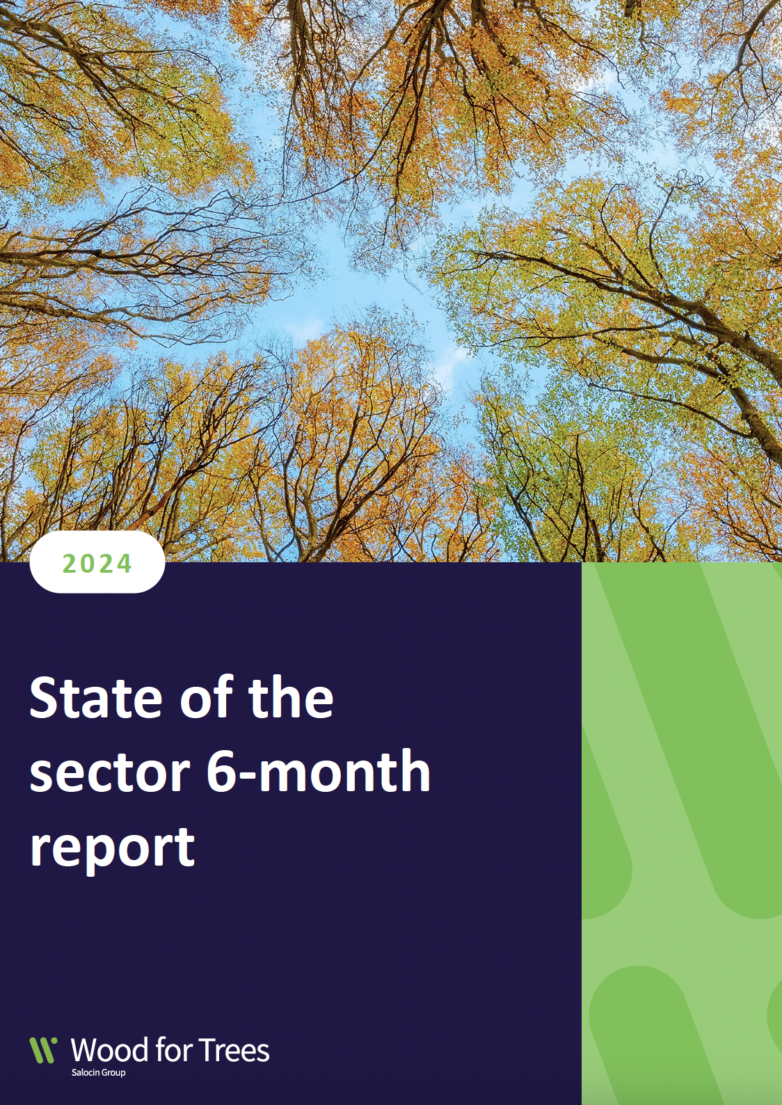 State of the sector report Jan-Jun 24